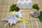 Sarı Kelebekli Miyuki Bileklik